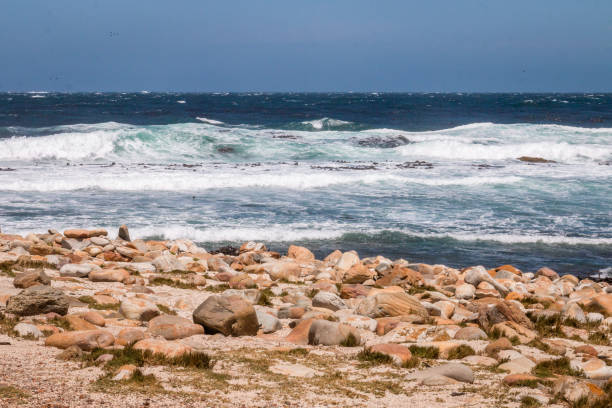 mixed images of ocean shore scenes, rocky hills, foggy sky, etc