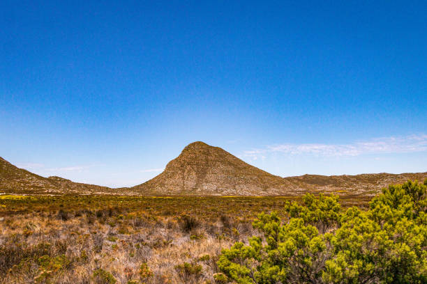 istock South Africa Vista 1193976073