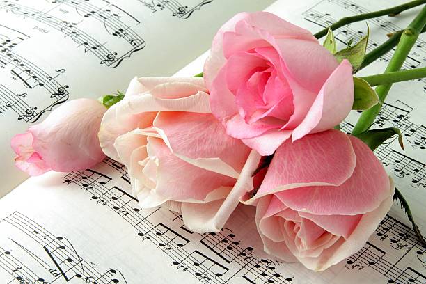 istock pink roses and music 119397944