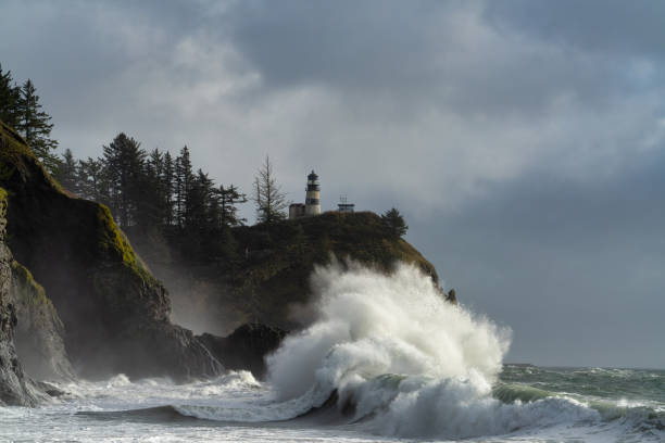 istock Rough Surf Along Ocean At Cape Disappointment 1193981006
