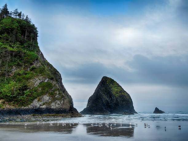 The southern end of the beach at Arch Cape ends with a small sea stack near the cliffs.