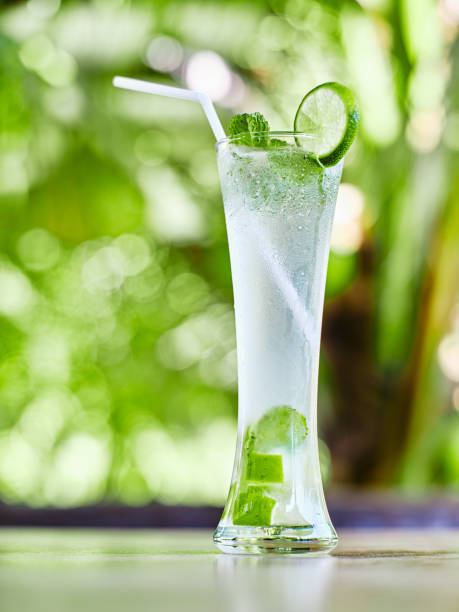 istock mojito cocktail in tall glass with straw 1193986861