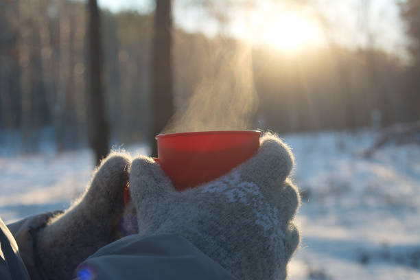 istock mugs of hot drink 1193987707