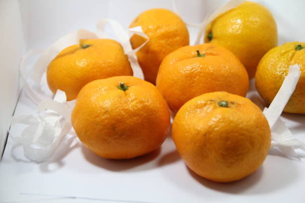 istock fresh and sliced tangerines on white background 1193989615