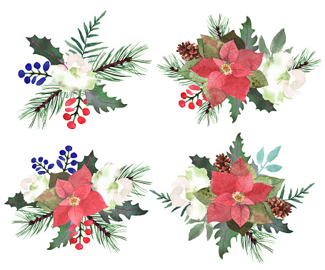 Watercolor boquets with fir branches, red berry, poinsettia, Christmas elements. Horizontal winter decorative composition for Happy New Year and Christmas print, wallpaper, textile. Vector