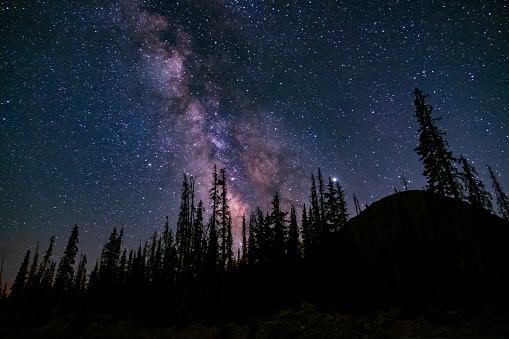 Starry Night Sky in the Uinta Mountains