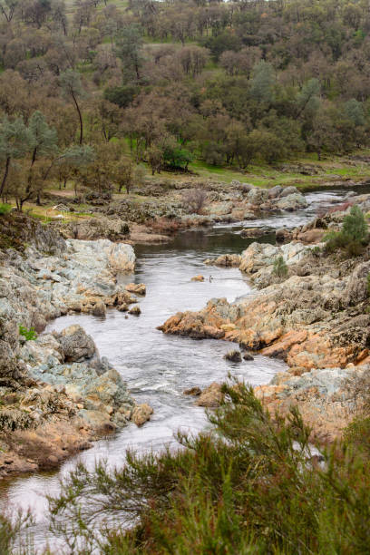 istock Consumnis river california running through canyon 1193999172
