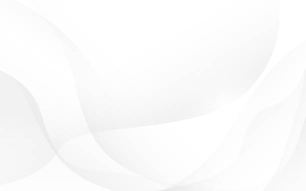 stockillustraties, clipart, cartoons en iconen met abstracte zachte golven wit en grijs kleur achtergrond. vector, illustratie - grijze-achtergrond