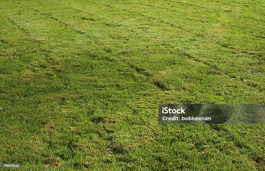 Fraîchement tondu herbe transversales - Photo de Abstrait libre de droits