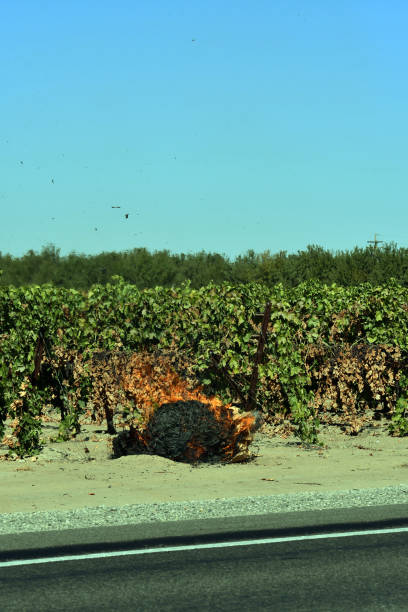 des papiers récents brûlent à côté d'une route - sultana california photos et images de collection