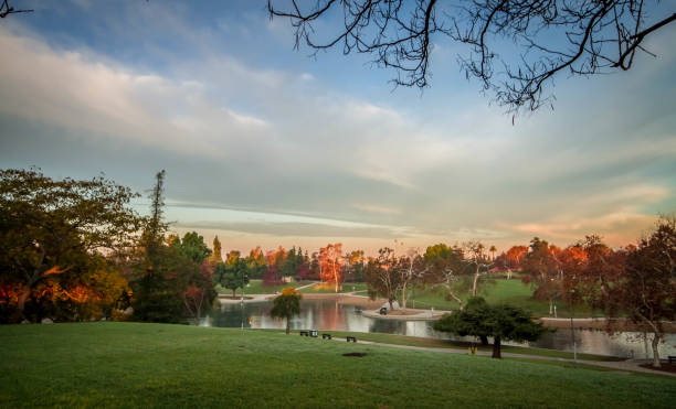 istock Far view of autumn morning. 1194002508