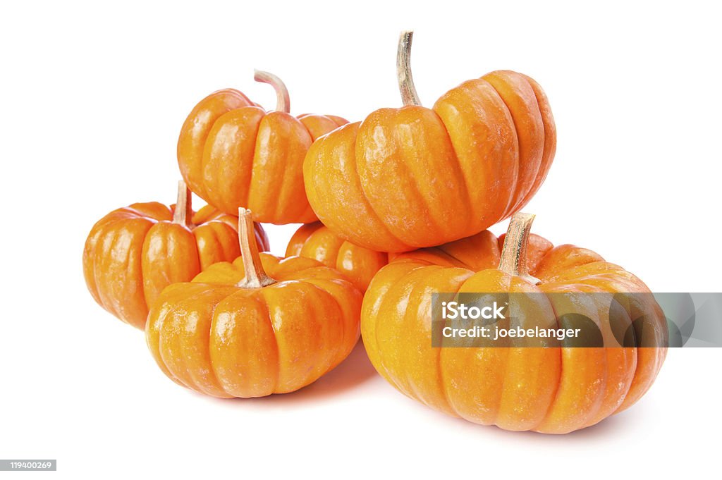 Pumpkins на белом фоне - Стоковые фото Без людей роялти-фри