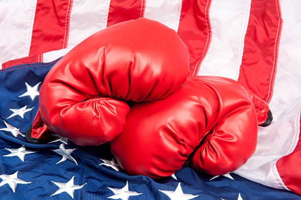 istock Boxing gloves on American flag 119400306