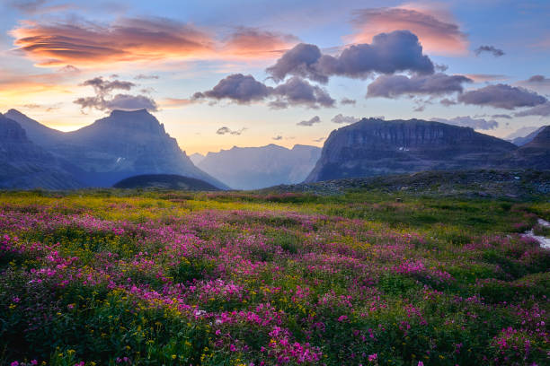 istock Glacier National Park - Lenticular Dawn 1194004038