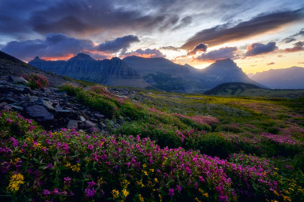 istock Glacier National Park - Mountains Calling Out 1194004048