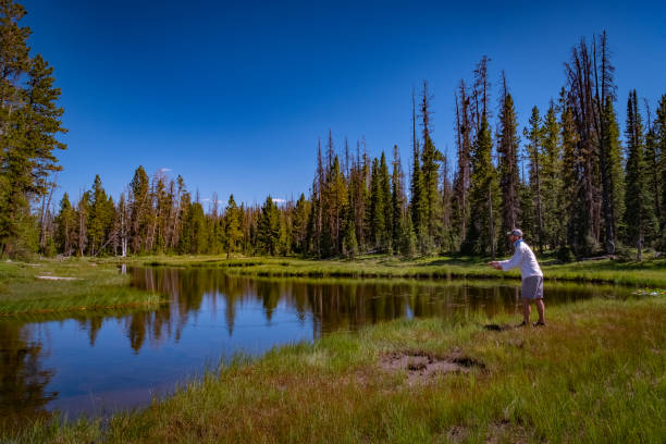 istock Fly Fishing on the River 1194006573