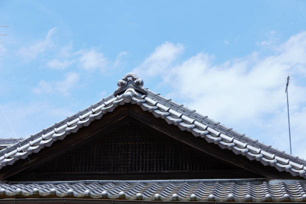 istock Roof tiles 1194008271