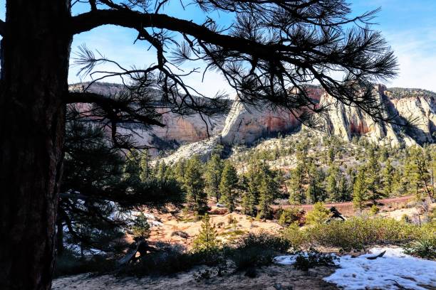 istock Zion National Park 1194013763