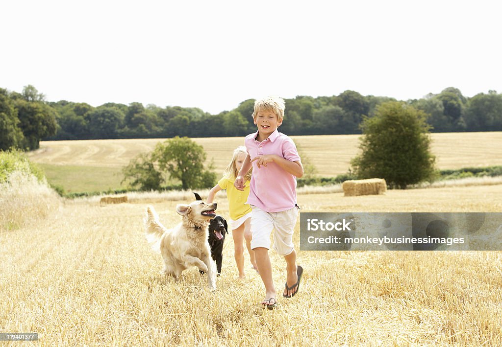 Enfants avec des chiens courir à travers champ d'été - Photo de Ferme - Aménagement de l'espace libre de droits