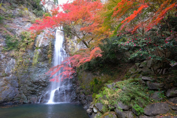 istock Minoo Waterfall in colorful autumn season 1194014763