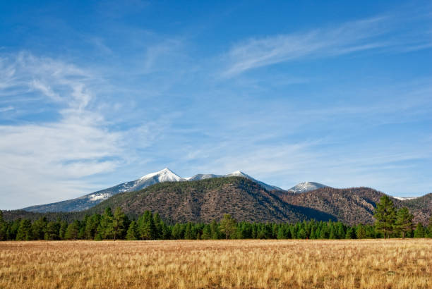 istock Buffalo Park and San Francisco Peaks 1194016331