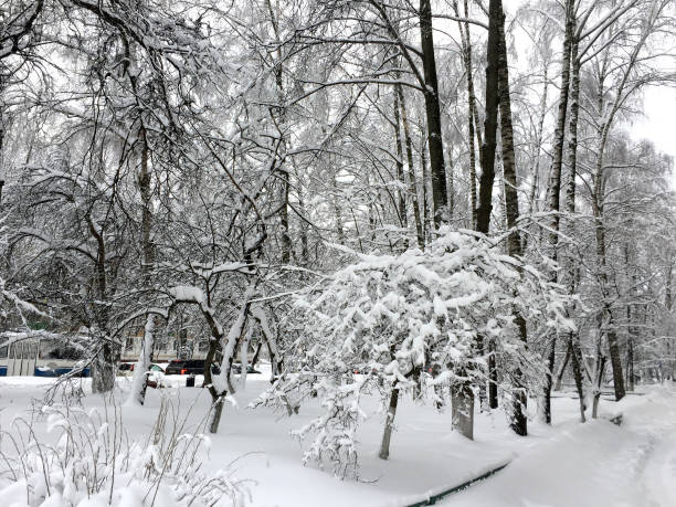 istock City street on a winter day during snowfall 1194019910