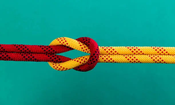 Reef knot on green background.