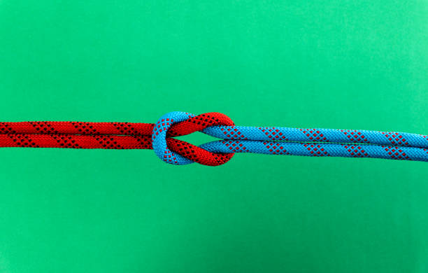 istock Reef knot on green background 1194021660