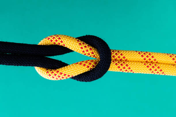 istock Reef knot on green background 1194023275