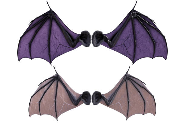 Pair of colored bat wings isolated on white, 3d render.
