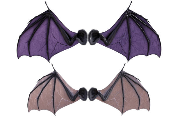 Pair of colored bat wings isolated on white, 3d render. Pair of colored bat wings isolated on white, 3d render. katt halloween stock pictures, royalty-free photos & images