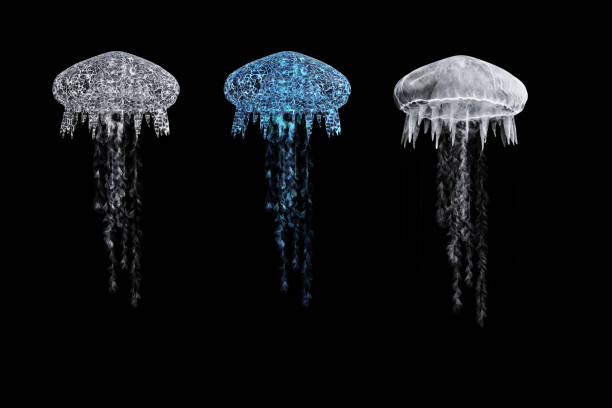 blue jellyfish in front of black