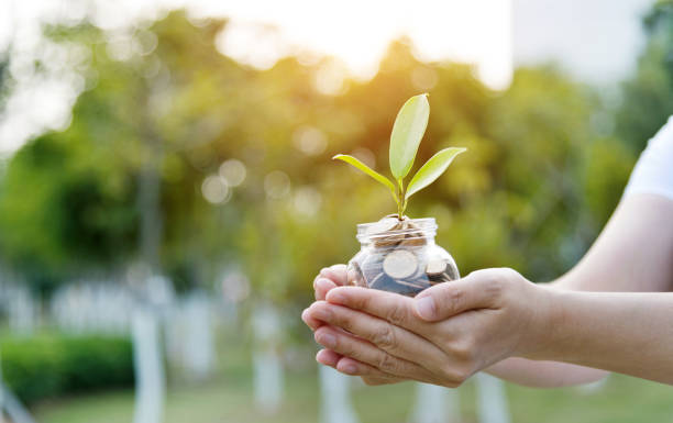 manos de mujer holgando un tarro con monedas y planta - jar coin currency glass fotografías e imágenes de stock