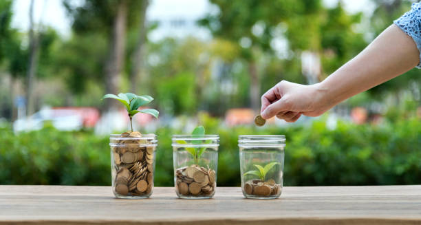 Woman putting coin in the jar with plant Woman putting coin in the jar with plant. deposit bottle stock pictures, royalty-free photos & images