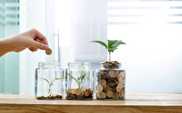 frau legt münze in das glas mit pflanze - savings stock-fotos und bilder