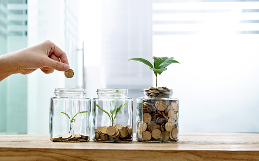 Woman putting coin in the jar with plant.