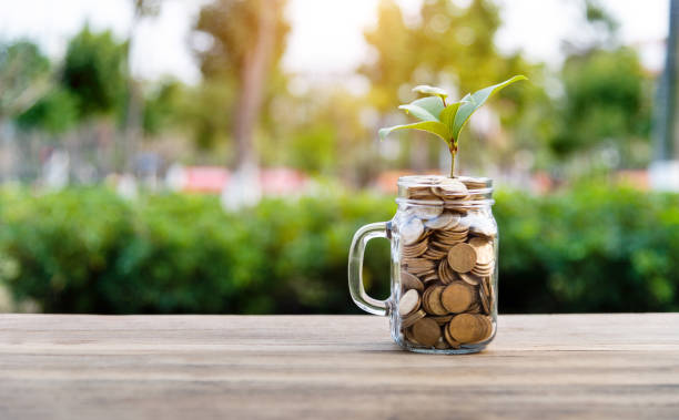 istock Green plant growing from the coins jar 1194025941