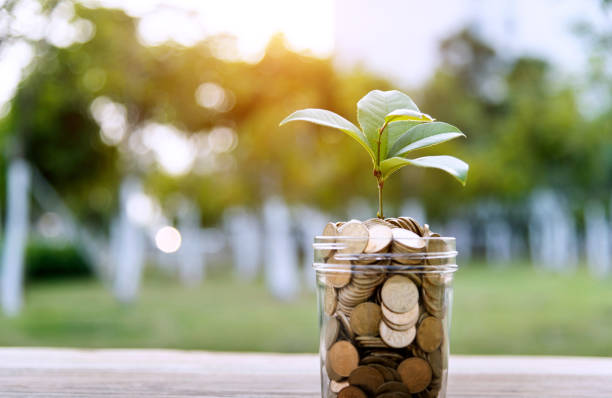 istock Green plant growing from the coins jar 1194025947