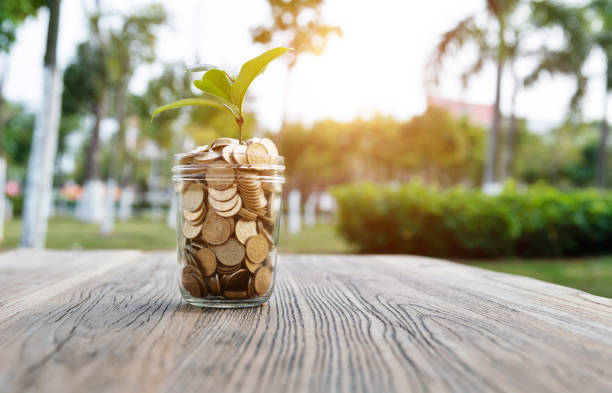 istock Green plant growing from the coins jar 1194025975