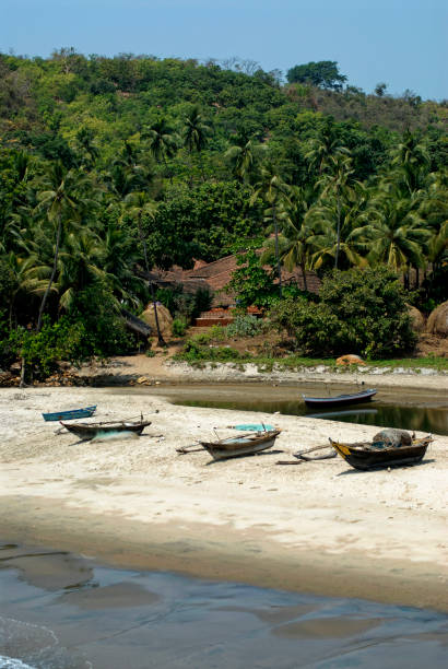 istock Local fisherman village 1194026033