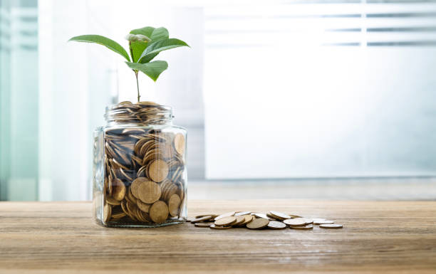 istock Green plant growing from the coins jar 1194026543