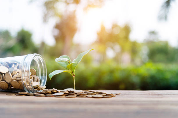 istock Background of plant growing from coins 1194027125