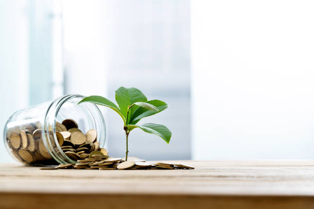 istock Background of plant growing from coins 1194027128