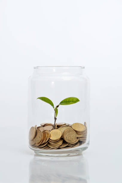 istock Green plant growing in the coins jar 1194027218