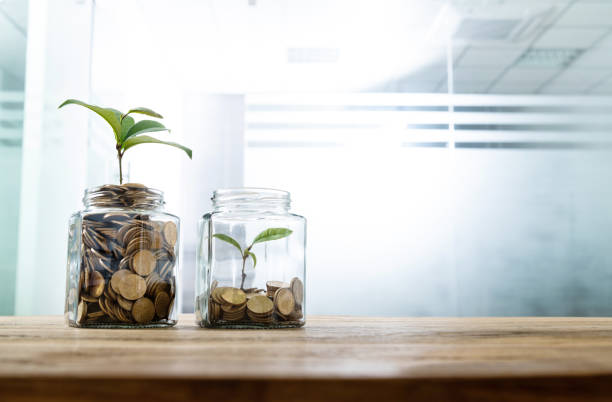 istock Green plants growing from the glass jars 1194027228