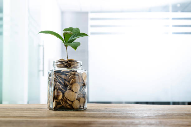 istock Green plant growing from the coins jar 1194027230