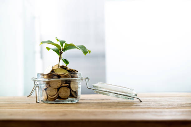 istock Green plant growing from the coins jar 1194027262
