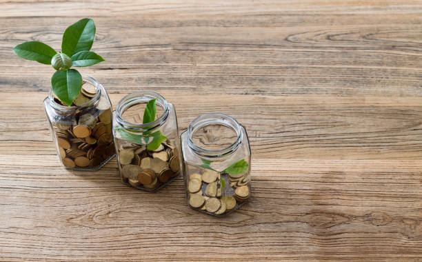 istock Green plants growing from the glass jars 1194027996