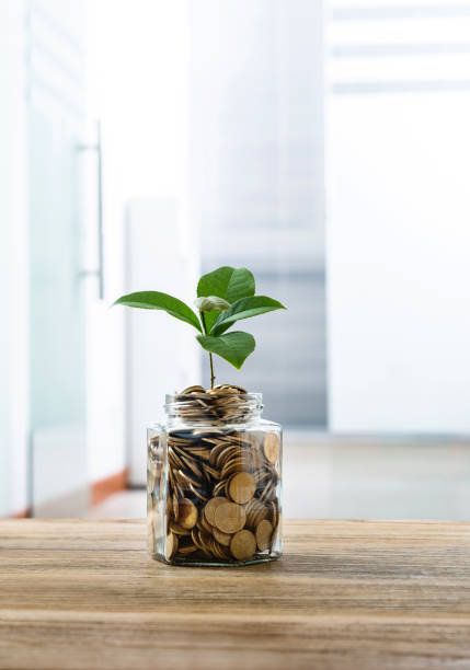 istock Green plant growing from the coins jar 1194028184