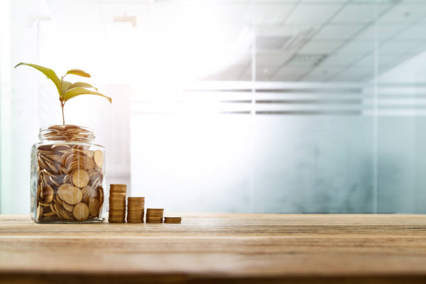 istock Green plant growing from the coins jar 1194028388